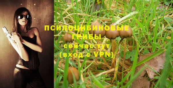 PSILOCYBIN Алзамай