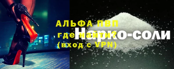 индика Алексин