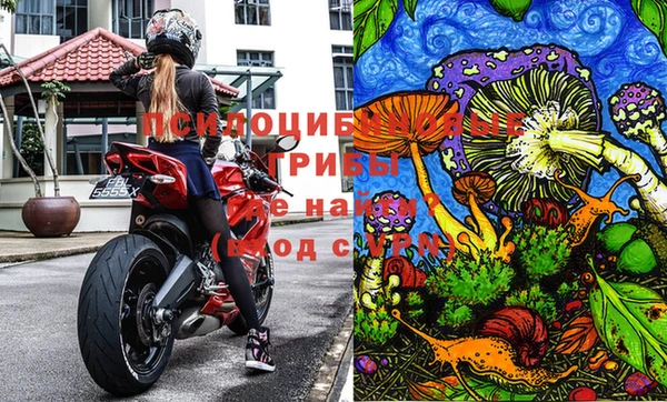 тгк Алексеевка