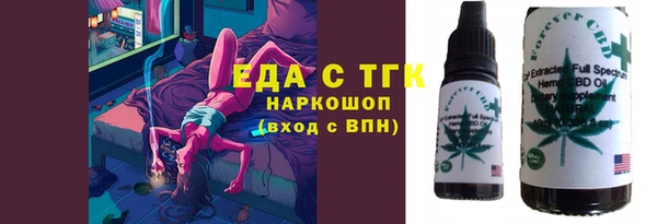 индика Алексин