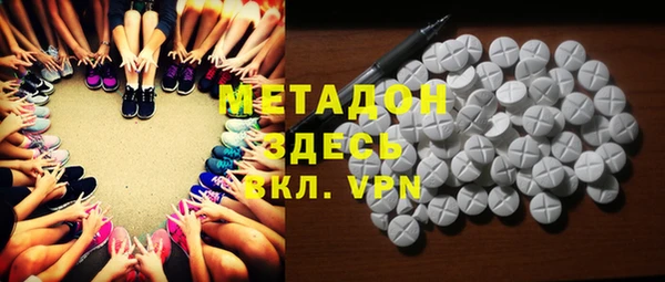 индика Алексин