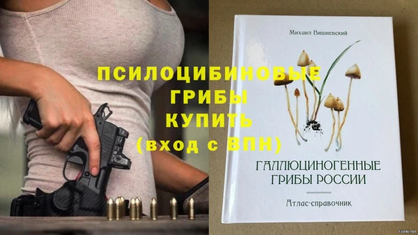 PSILOCYBIN Алзамай