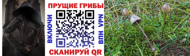 Галлюциногенные грибы GOLDEN TEACHER где найти наркотики Коркино