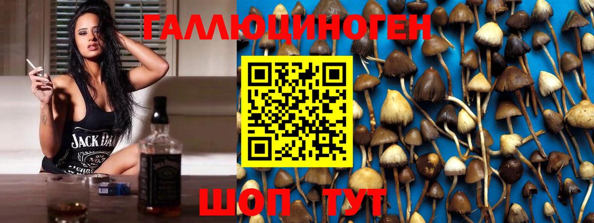 Коркино  Псилоцибиновые грибы прущие грибы  Вход с VPN  Псилоцибиновые грибы мицелий 